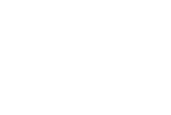 Appenzeller Kaese